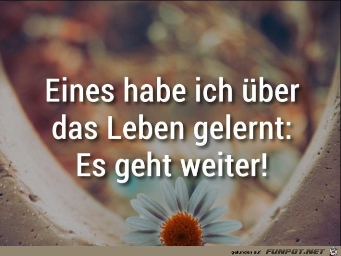 10 schöne Sprüche und Lebensweisheiten aus...